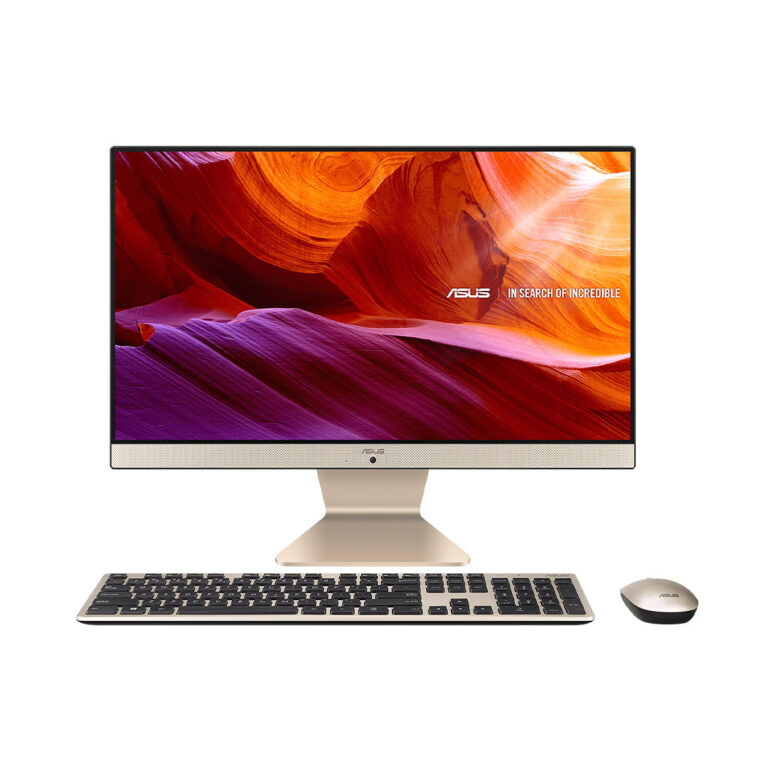 ASUS Vivo AIO V222GAK-BA005WS